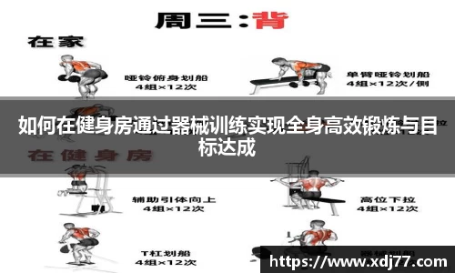 如何在健身房通过器械训练实现全身高效锻炼与目标达成