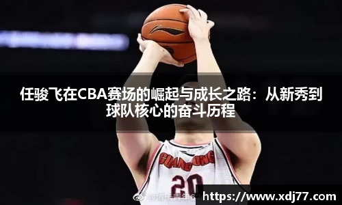 任骏飞在CBA赛场的崛起与成长之路：从新秀到球队核心的奋斗历程